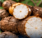Cassava roots