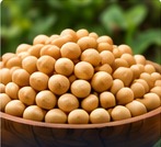 Soya bean commodity supply